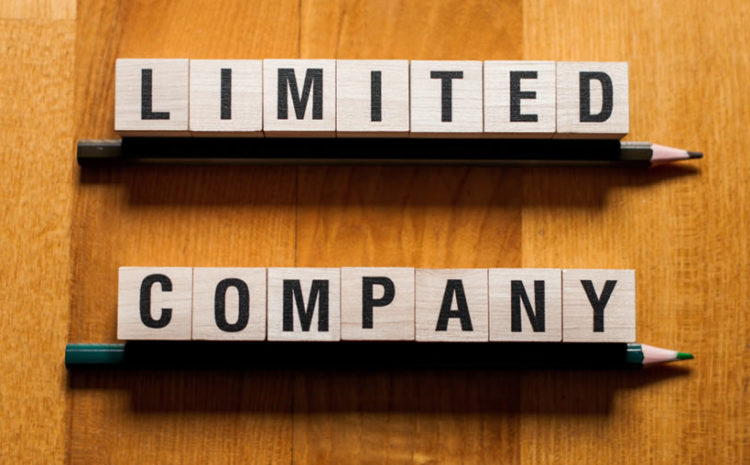 Limited company advantages and disadvantages